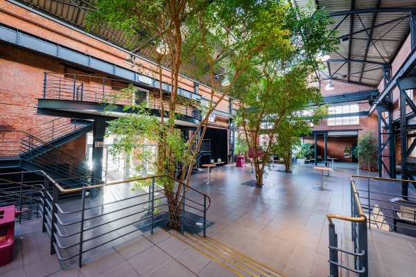 Hotel Alte Werft (Papenburg)